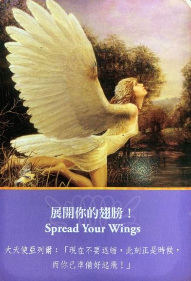 Archangel Oracle Cards Spread Your Wings