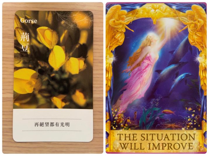 2021060702 Gorse & THE SITUATION WILL IMPROVE Answers Oracle Cards Divination by Luc 2021060702 Gorse & THE SITUATION WILL IMPROVE Answers Oracle Cards Divination by Luc