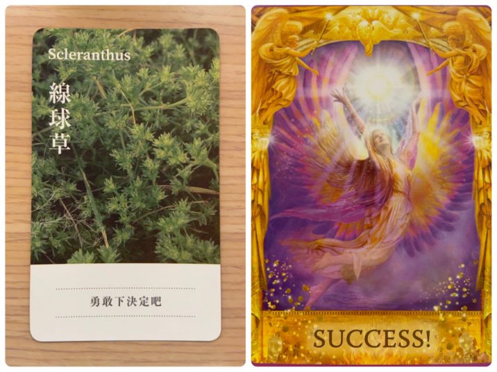 2021060703 Scleranthus & SUCCESS! Angel Answers Oracle Cards Divination by Luc 2021060703 Scleranthus & SUCCESS! Angel Answers Oracle Cards Divination by Luc