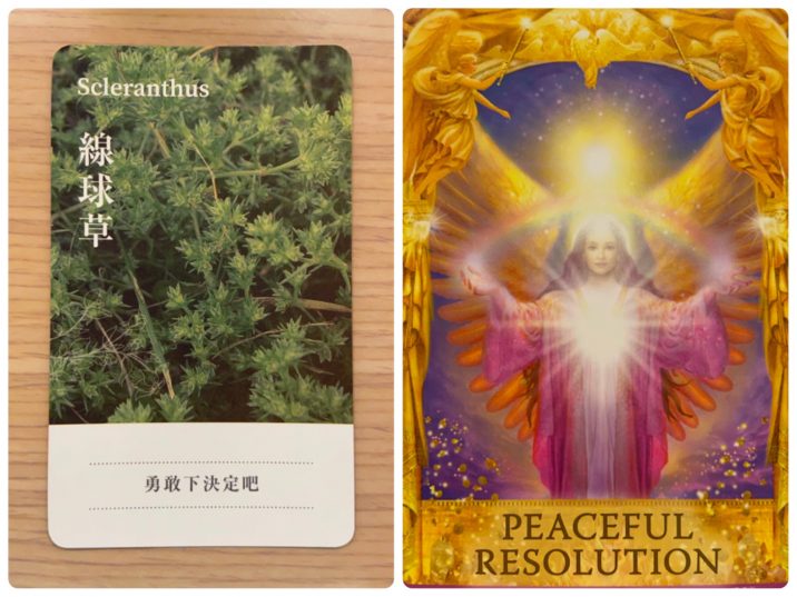 2021080201 Scleranthus & PEACEFUL RESOLUTION Angel Answers Oracle Cards Divination by Luc