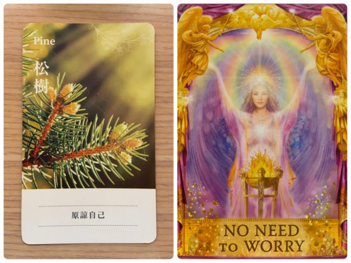 2021080203 Pine & NO NEED TO WORRY Angel Answers Oracle Cards Divination by Luc