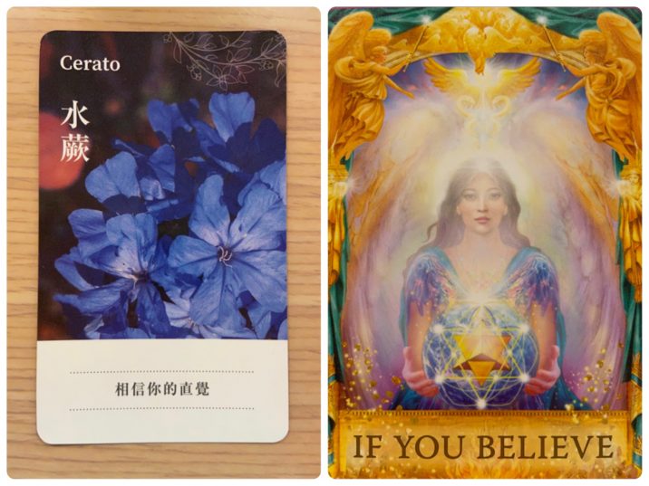 2021080204 Cerato & IF YOU BELIEVE Angel Answers Oracle Cards Divination by Luc