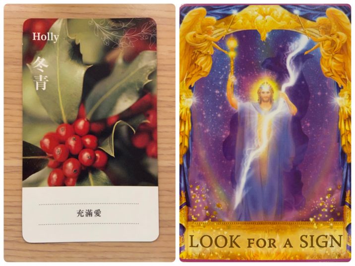 2021082301 Holly & LOOK FOR A SIGN Angel Answers Oracle Cards Divination by Luc