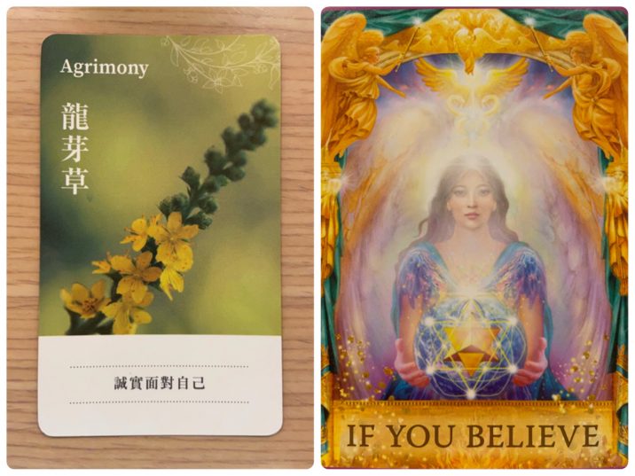 2021082304 Agrimony& UF YOU BELIEVE Angel Answers Oracle Cards Divination by Luc