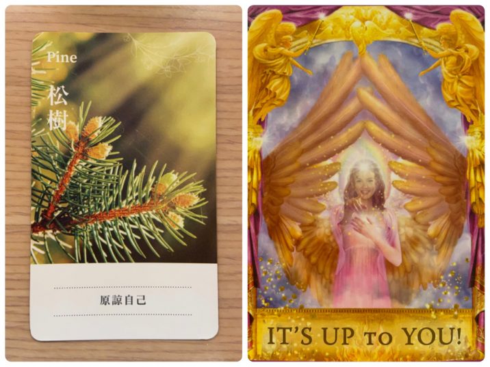 2021083001 Pine & IT'S UP TO YOU! Angel Answers Oracle Cards Divination by Luc