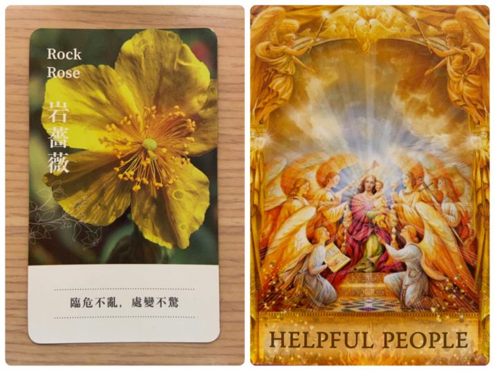 2021083002 Rock Rose & HELPFUL PEOPLE Angel Answers Oracle Cards Divination by Luc