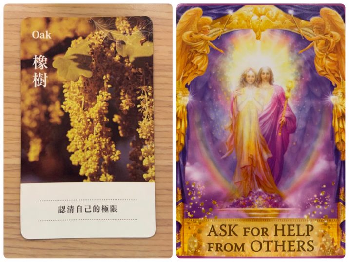 2021083003 Oak & ASK FOR HELP FROM OTHERS Angel Answers Oracle Cards Divination by Luc