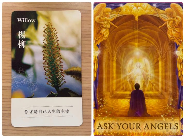 2021090601 Willow & ASK YOUR ANGELS Angel Answers Oracle Cards Divination by Luc