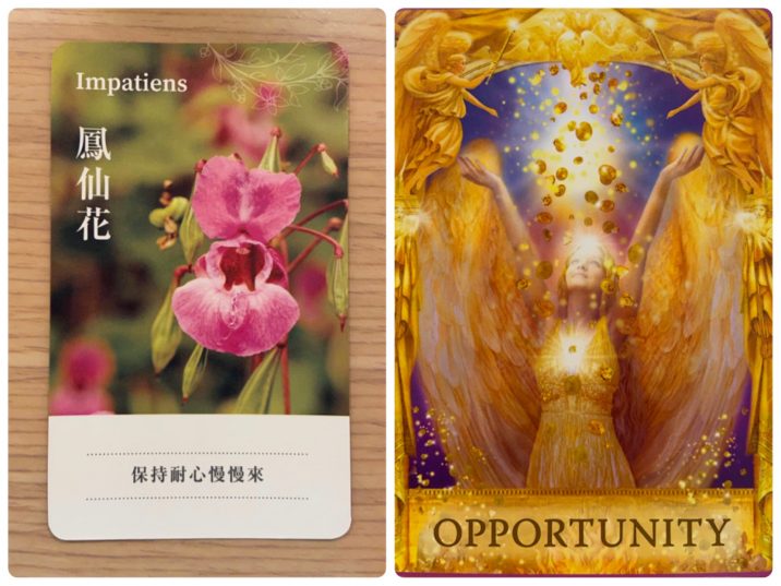 2021090603 Impatiens & OPPORTUNITY Angel Answers Oracle Cards Divination by Luc