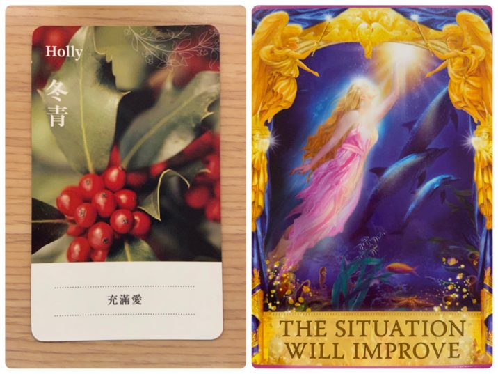 2021091303 Holly & THE SITUATION WILL IMPROVE Angel Answers Oracle Cards Divination by Luc 2021091303 Holly & THE SITUATION WILL IMPROVE Angel Answers Oracle Cards Divination by Luc
