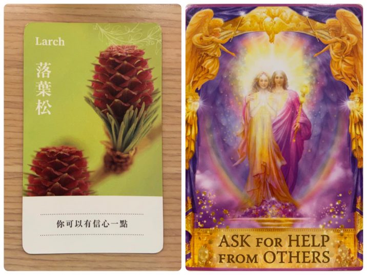 2021100401 Larch & ASK FOR HELP FROM OTHERS Angel Answers Oracle Cards Divination by Luc 2021100401 Larch & ASK FOR HELP FROM OTHERS Angel Answers Oracle Cards Divination by Luc