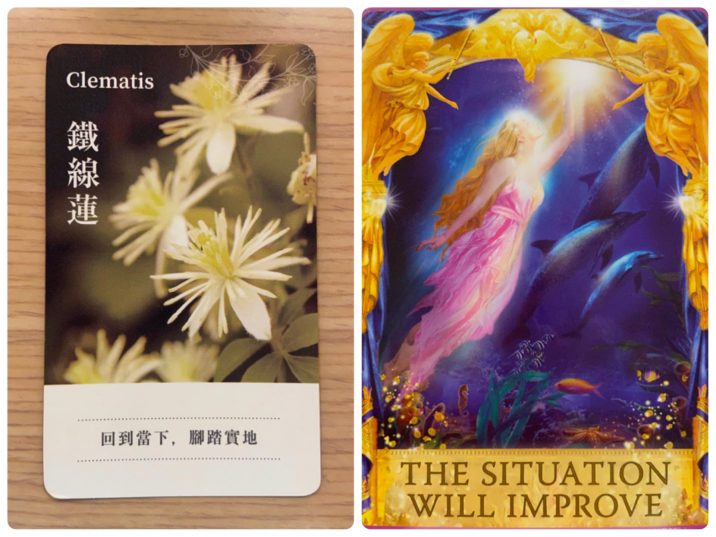 2021112901 Clematis & THE SITUATION Angel Answers Oracle Cards Divination by Luc