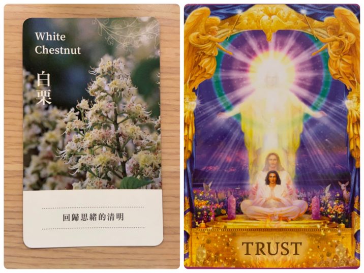 2021112902 White Chestnut & TRUST Angel Answers Oracle Cards Divination by Luc