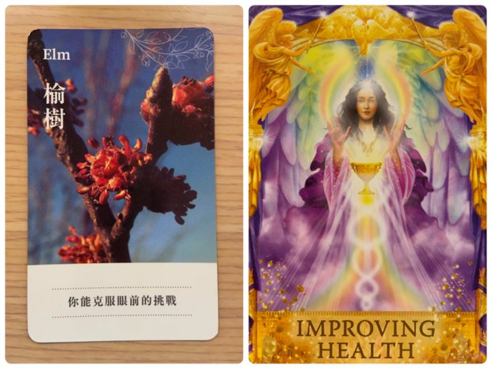 2021112903 Elm & IMPROVING HEALTH Angel Answers Oracle Cards Divination by Luc