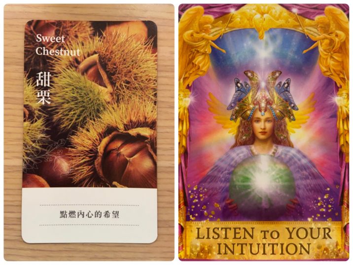2021112904 Sweet Chestnut & LISTEN TO YOUR INTUITION Angel Answers Oracle Cards Divination by Luc