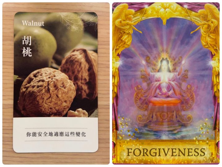 2021120602 Walnut & FORGIVENESS Angel Answers Oracle Cards Divination by Luc