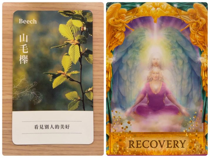 2021120603 Beech & RECOVERY Angel Answers Oracle Cards Divination by Luc