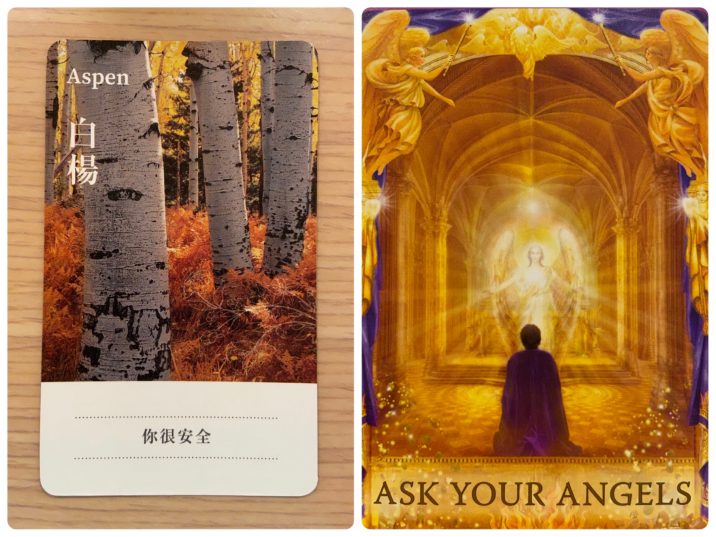 2022011003 Aspen & ASK YOUR ANGELS ANSWERS Angel Answers Oracle Cards Divination by Luc