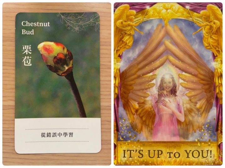 2022011004 Chestnut & IT'S UP TO YOU! ANSWERS Angel Answers Oracle Cards Divination by Luc