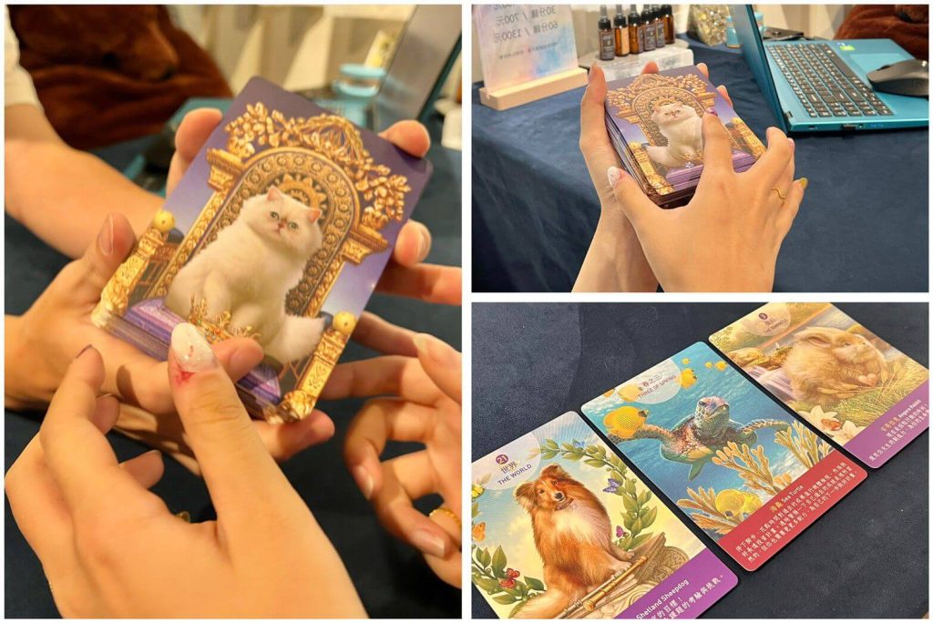 2022071920 Taipei Tarot Kiwi Tarot Ximending Tarot Animal Tarot Cards by jetpeter kiwi