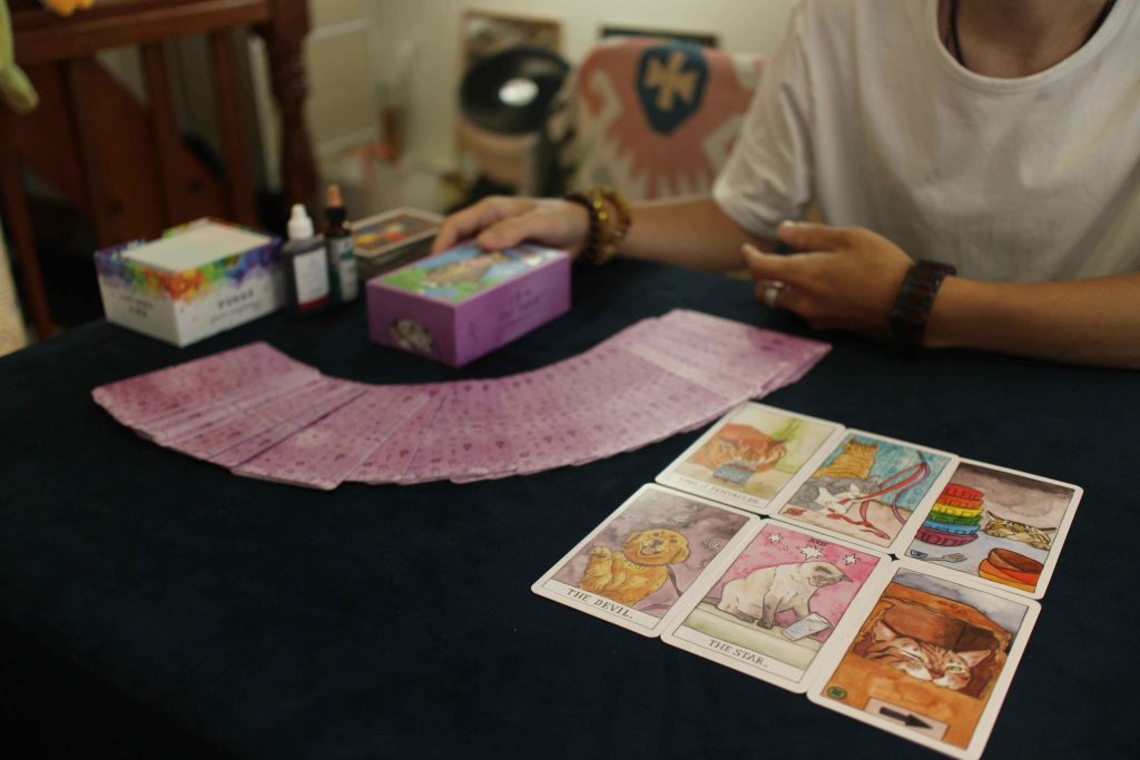 2022092615 Taipei Tarot Kiwi Tarot Ximending Tarot Taipei Cat Tarot by pinpingplay kiwi scaled