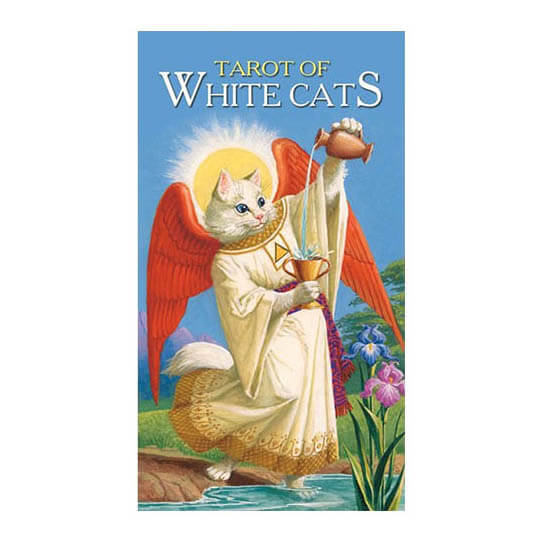 20240110 Tarot of White Cats