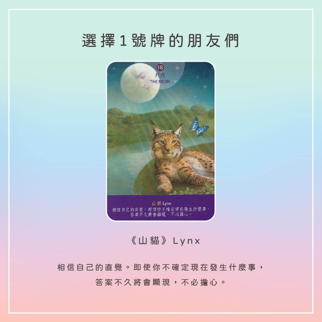 2024022305 Animal Tarot cards Doreen Virtue by Kiwi Tarot