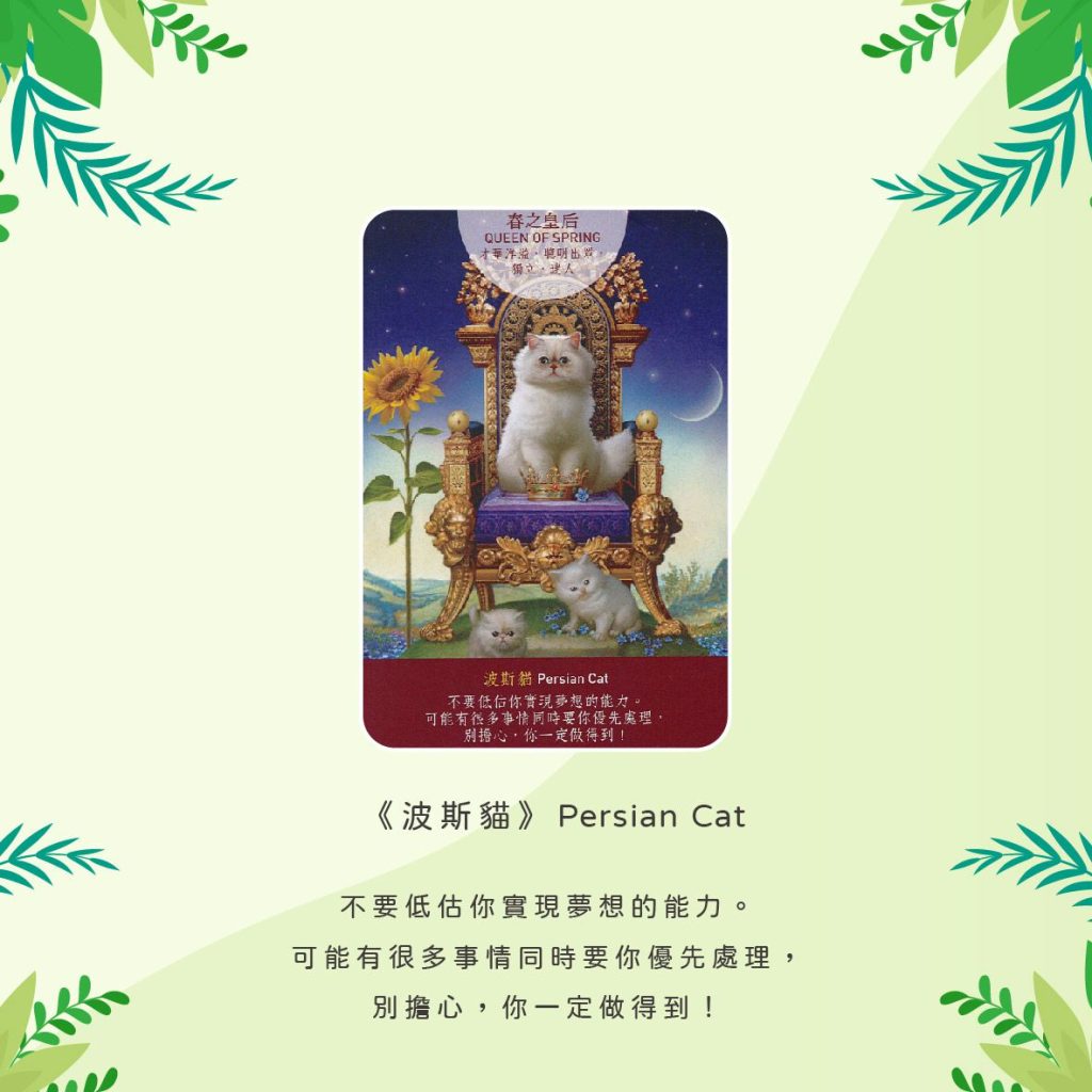 2024031507 Animal Tarot cards Doreen Virtue by Kiwi Tarot