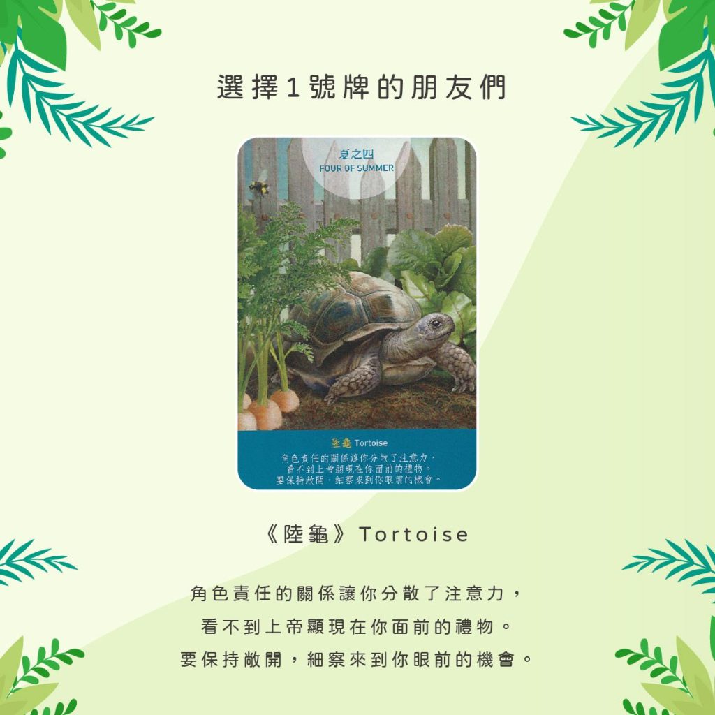 2024032205 Animal Tarot cards Doreen Virtue by Kiwi Tarot