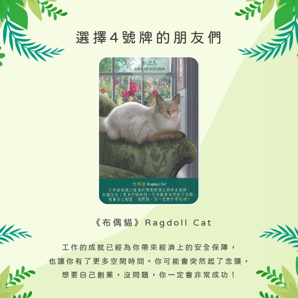 2024032208 Animal Tarot cards Doreen Virtue by Kiwi Tarot