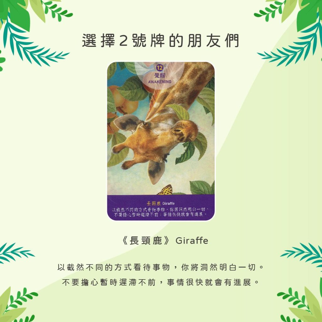 2024032906 Animal Tarot cards Doreen Virtue by Kiwi Tarot