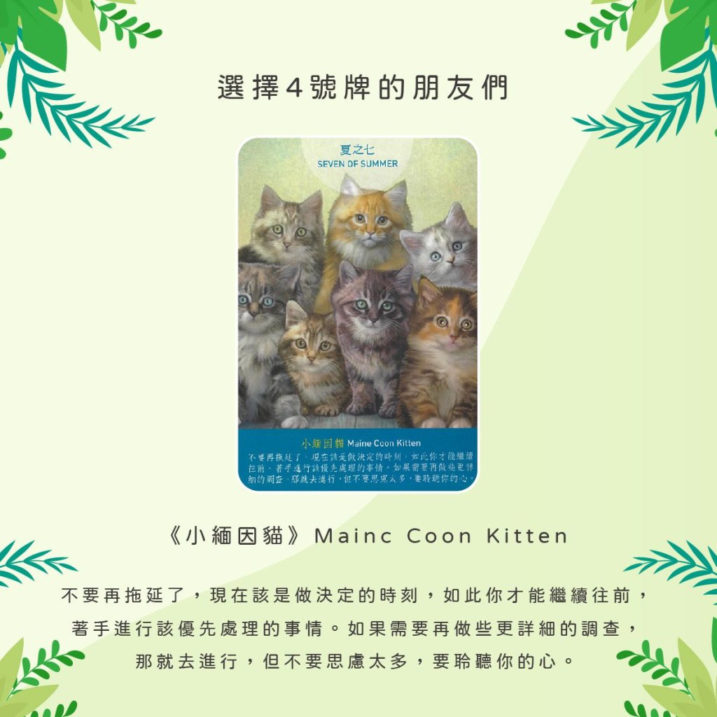 2024040608 Animal Tarot cards Doreen Virtue by Kiwi Tarot