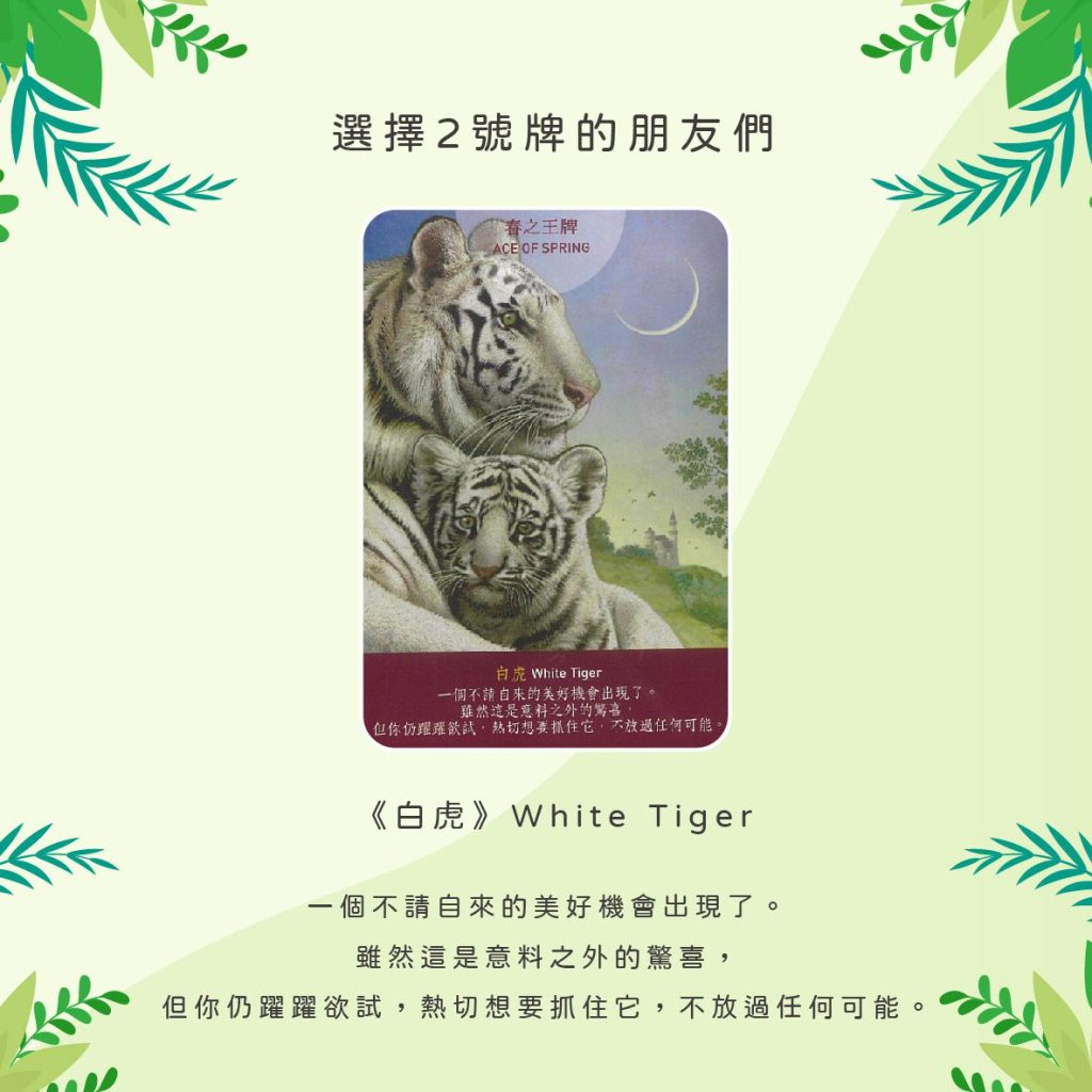 2024041306 Animal Tarot cards Doreen Virtue by Kiwi Tarot