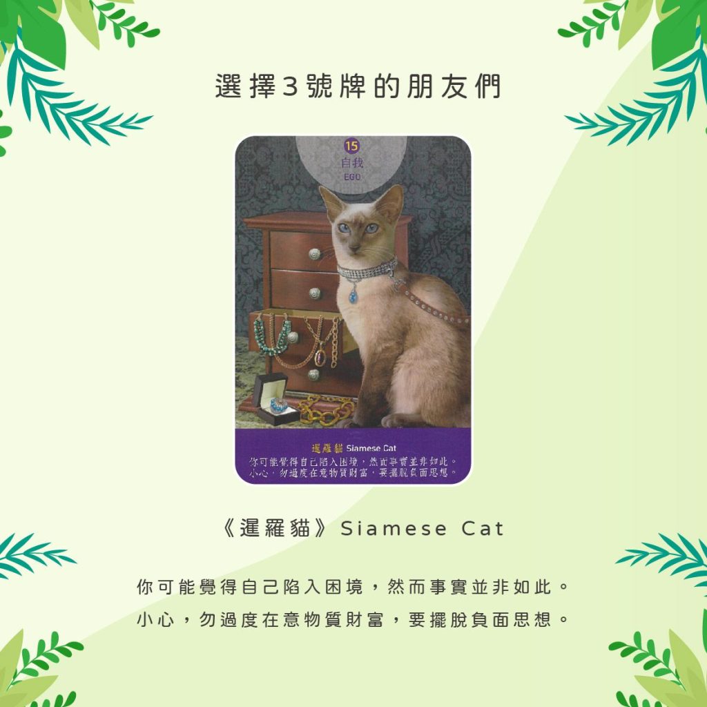 2024042007 Animal Tarot cards Doreen Virtue by Kiwi Tarot