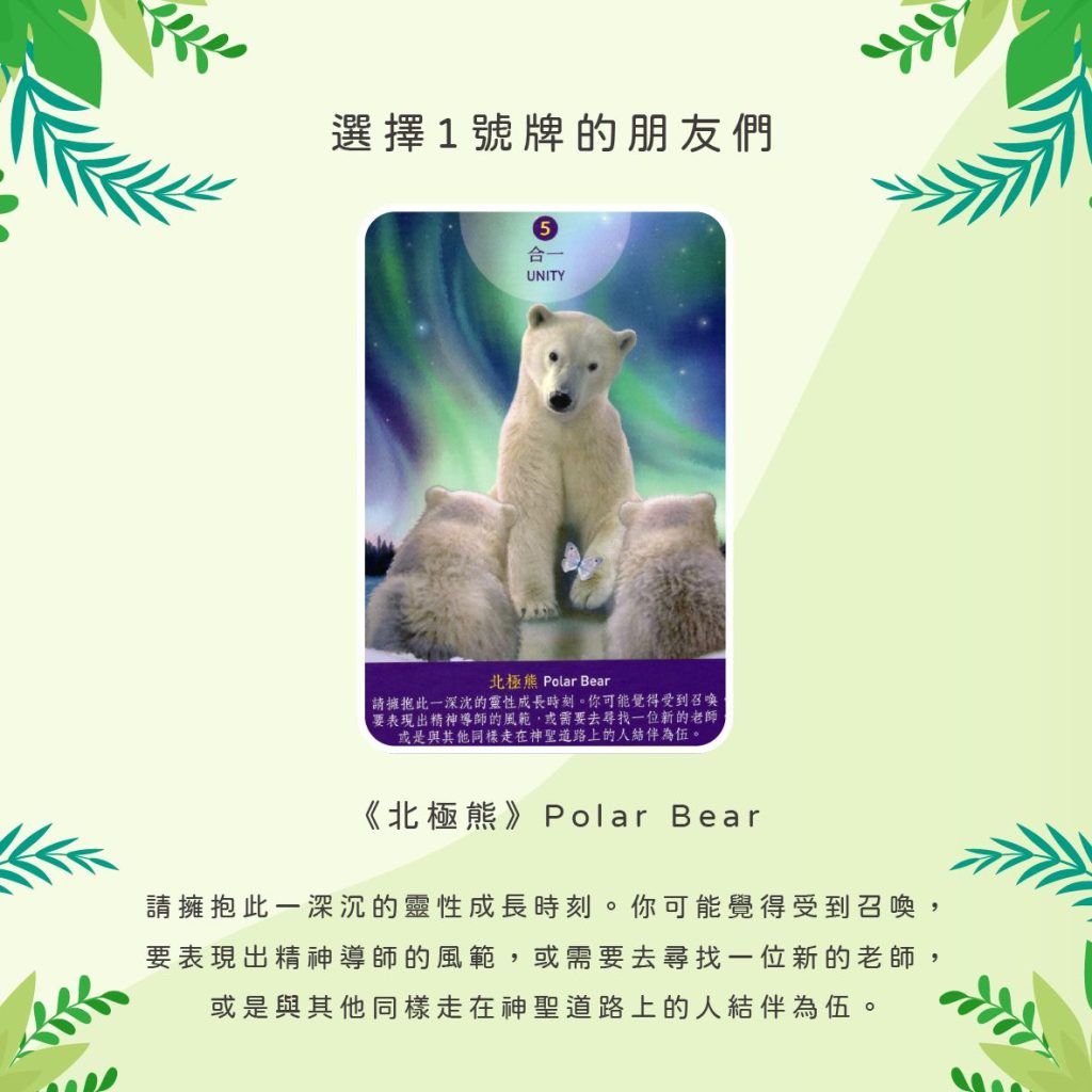 2024051105 Animal Tarot cards Doreen Virtue by Kiwi Tarot