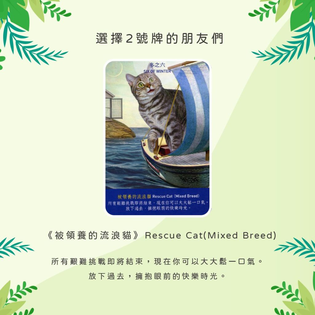 2024051106 Animal Tarot cards Doreen Virtue by Kiwi Tarot