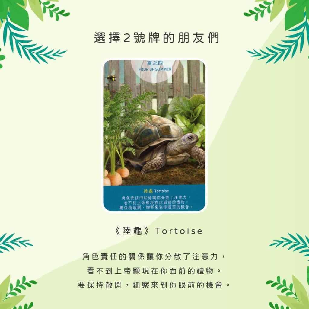 2024051806 Animal Tarot cards Doreen Virtue by Kiwi Tarot