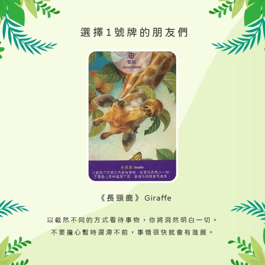 2024072005 Animal Tarot cards Doreen Virtue by Kiwi Tarot