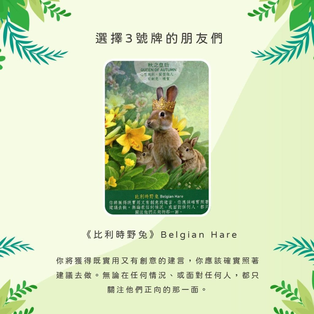 2024080307 Animal Tarot cards Doreen Virtue by Kiwi Tarot