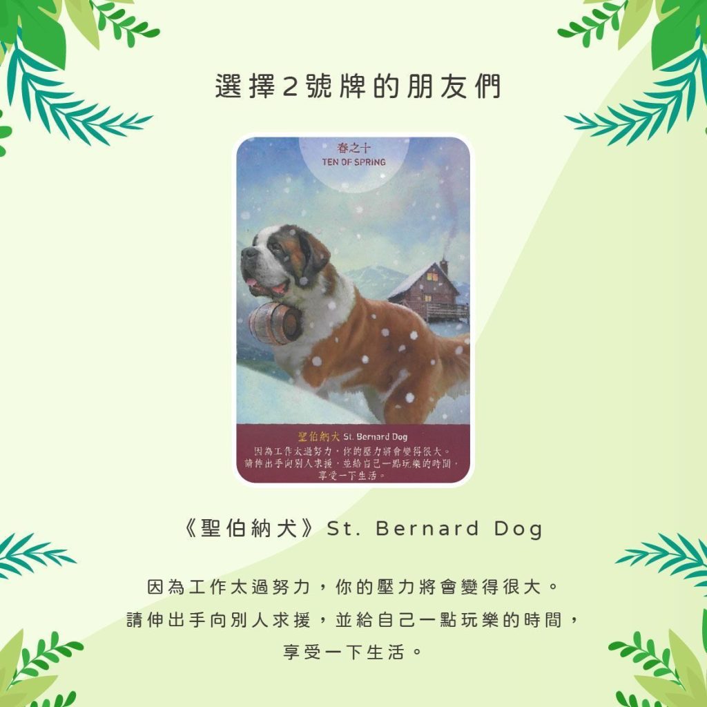 2024101906 Animal Tarot cards Doreen Virtue by Kiwi Tarot