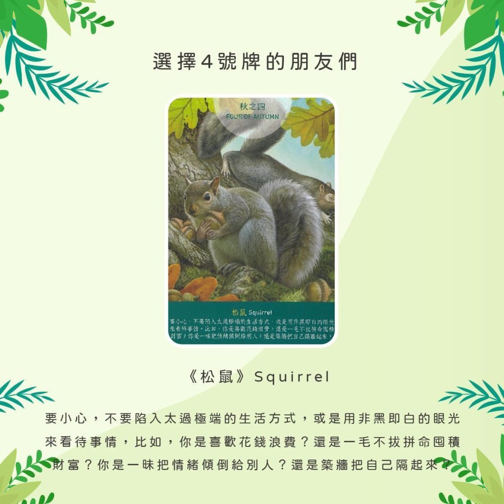 2024101908 Animal Tarot cards Doreen Virtue by Kiwi Tarot