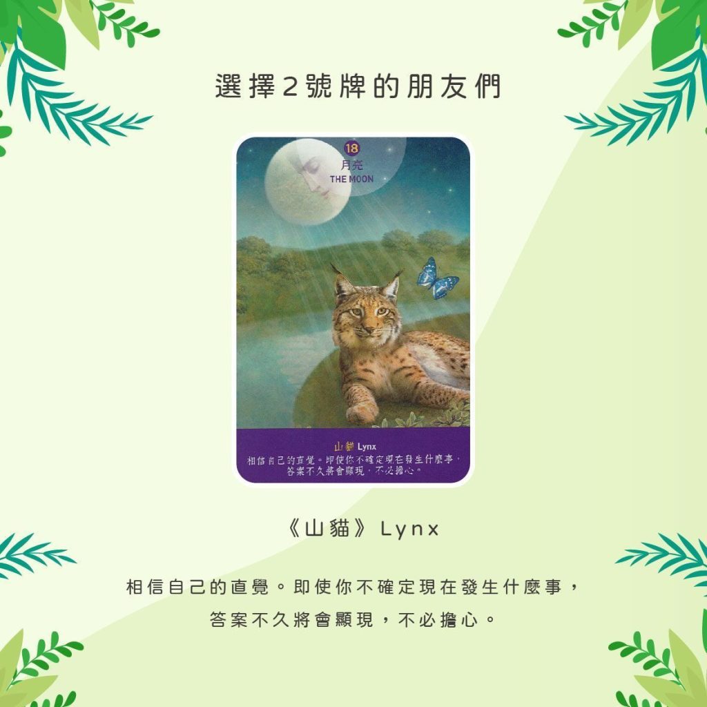 2024110206 Animal Tarot cards Doreen Virtue by Kiwi Tarot