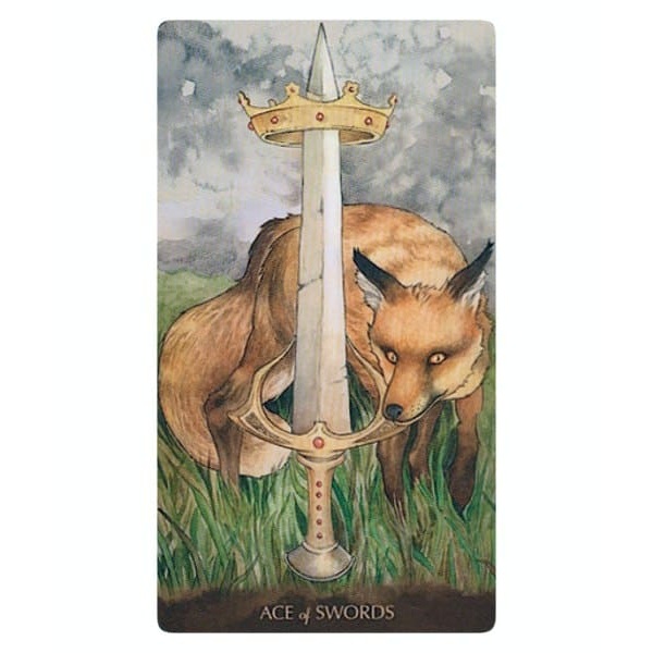 tarot of the little prince 01 1