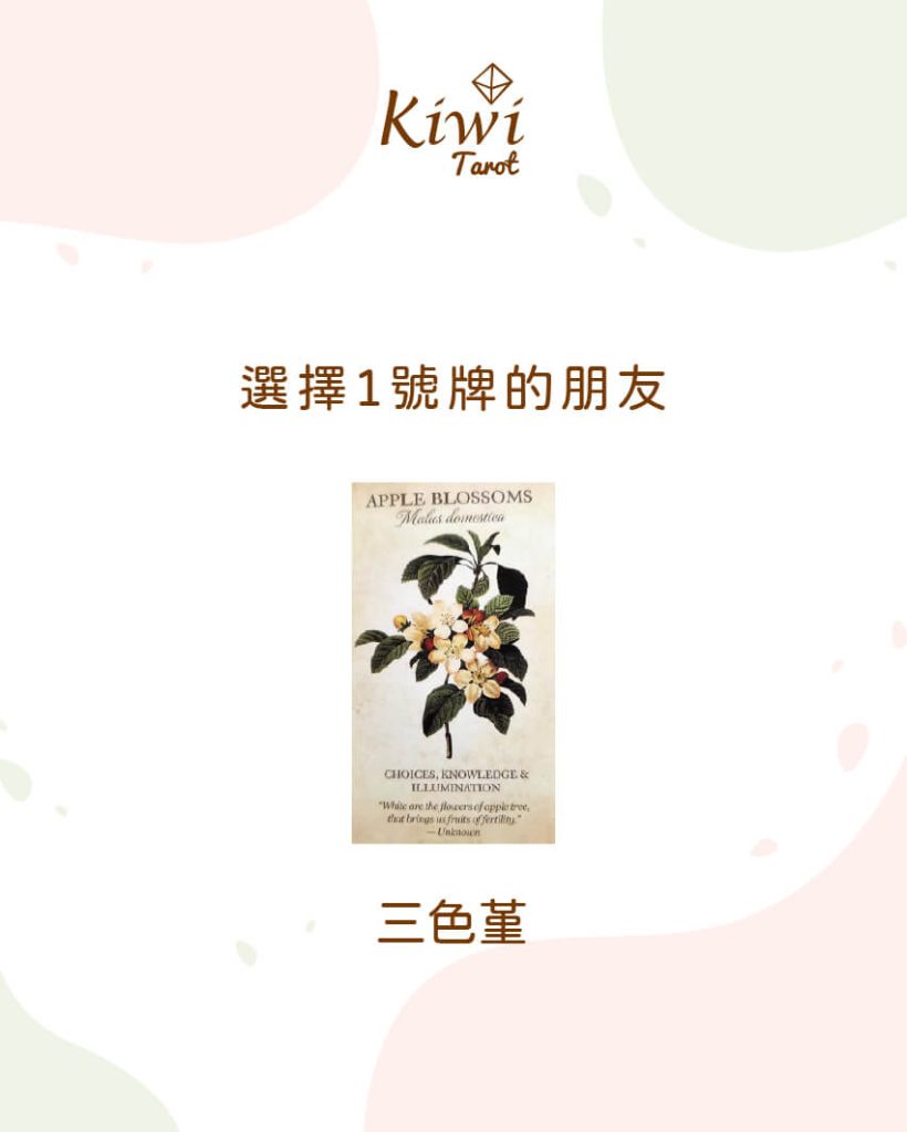 2025112604 plant give energy idea